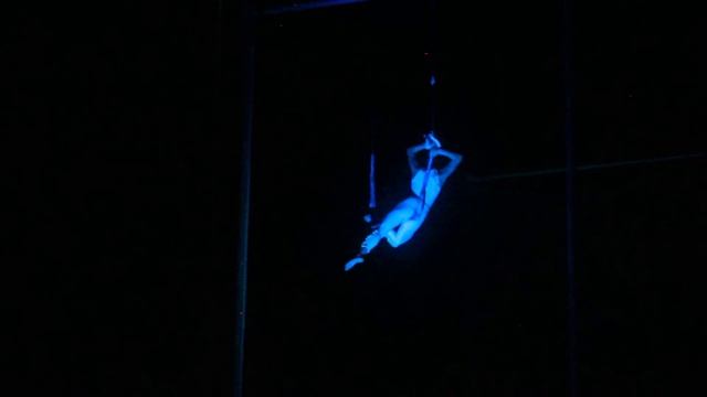 Single Trapeze :) Circus !