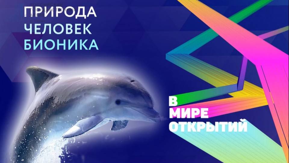 В мире открытий: Бионика