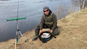 СЫРТЬ АТАКУЕТ НЕЩАДНО! Отличный клев сырти на реке Луга. Рыбалка на фидер 2022