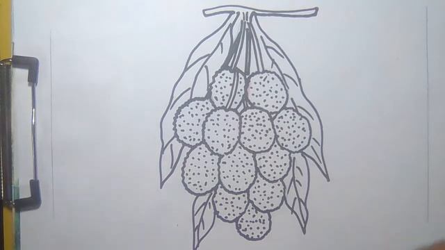 how to draw litchi very easilly смотреть онлайн