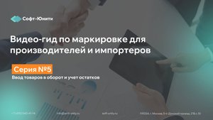 Серия 5: Ввод товаров в оборот и учет остатков