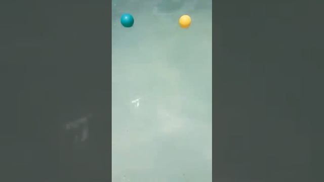 Не все собаки любят купаться! смотреть онлайн