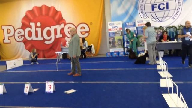 Сравнение на ЛСЮ смотреть онлайн