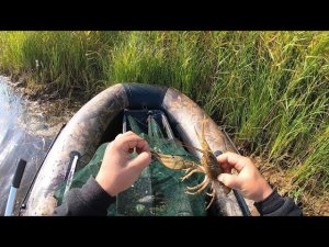 ОТКУДА В ЭТОМ РУЧЬЕ ТАКИЕ КРУПНЫЕ РАКИ? ОЧЕРЕДНАЯ ПРОВЕРКА КИТАЙСКИХ РАКОЛОВОК. РАК НА ЧЕСНОК и РЫБУ