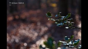 TTArtisan 100 мм F2.8 - новый король пузырькового боке