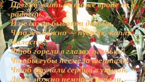 Стихи Ларисы Рубальской  . Ах, мадам , вам идет быть счачтливой!