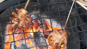 Осьминожки | Камбоджа