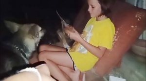 кино и СОБАКИ