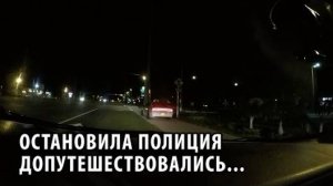29# Остановила полиция. Допутешествовались...