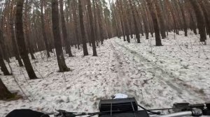 эндуро в весеннем лесу