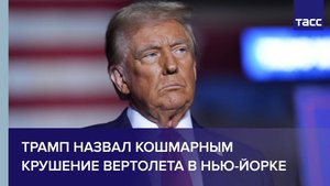 Трамп назвал кошмарным крушение вертолета в Нью-Йорке