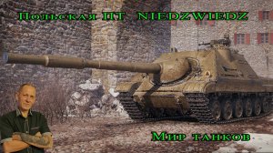 Мир танков:  Польская пт  niedzwiedz