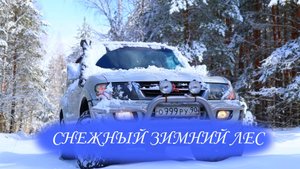 КРАСИВЫЕ КАДРЫ СНЕЖНОГО ЛЕСА ПОСЛЕ АПРЕЛЬСКОГО ЦИКЛОНА 2025 года