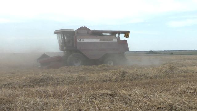 Уборка пшеницы. на Бузацкой гаре полессе GS10/ GS12 смотреть онлайн