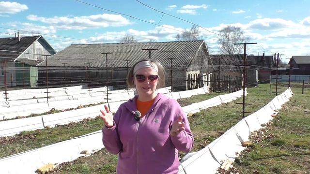 Двуплоскостная шпалера против одноплоскостной! Как сделать правильный выбор! смотреть онлайн