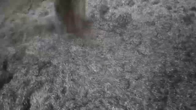 видео рассева на вибросите СВН 0,9Н графит 0,45мм (20 кг за 2 мин) 8-800-500-40-02,-720p60 смотреть онлайн