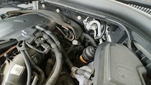 BMW X3 G01 20D Замена масла в двигателе своими руками.