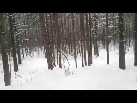 На Дорошихе за мной погнался Мужик с топором смотреть онлайн