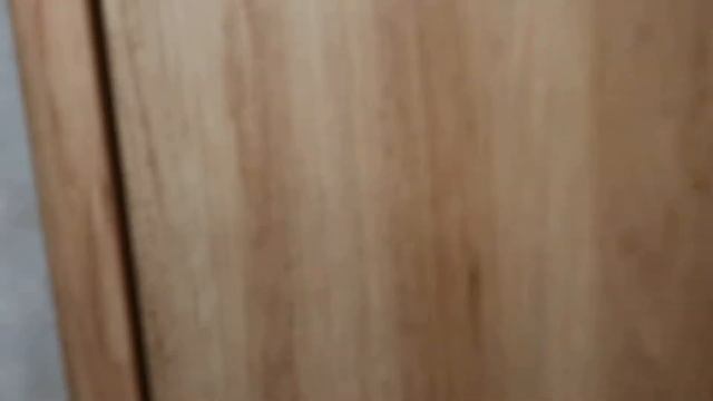 NEW 2019 BISON RANGER SLIDE