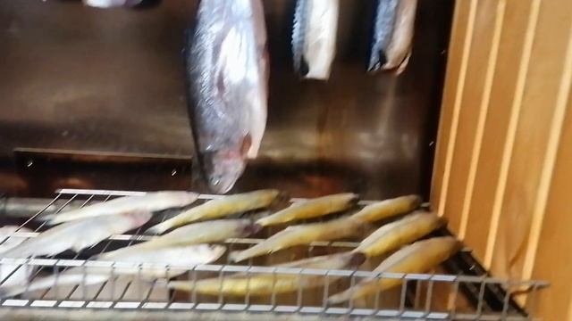 холодное копчение, говядина, свинина, форель корельская, корюшка и скубрия👍👍👍 смотреть онлайн