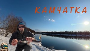 Голец на Камчатке: Весенний драйв, спиннинг и рыба, которая не сдаётся! 🌊🎣»