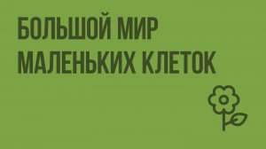 Большой мир маленьких клеток. Видеоурок по природоведению 5 класс