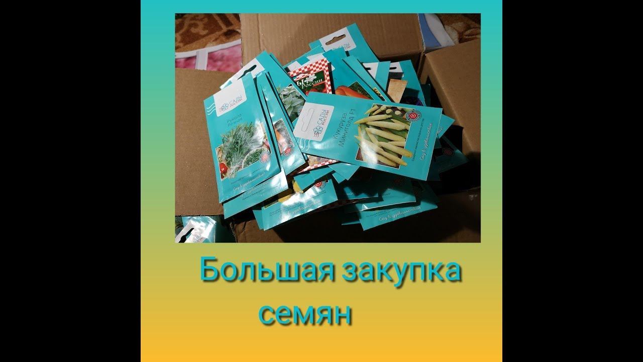 Закупка семян смотреть онлайн