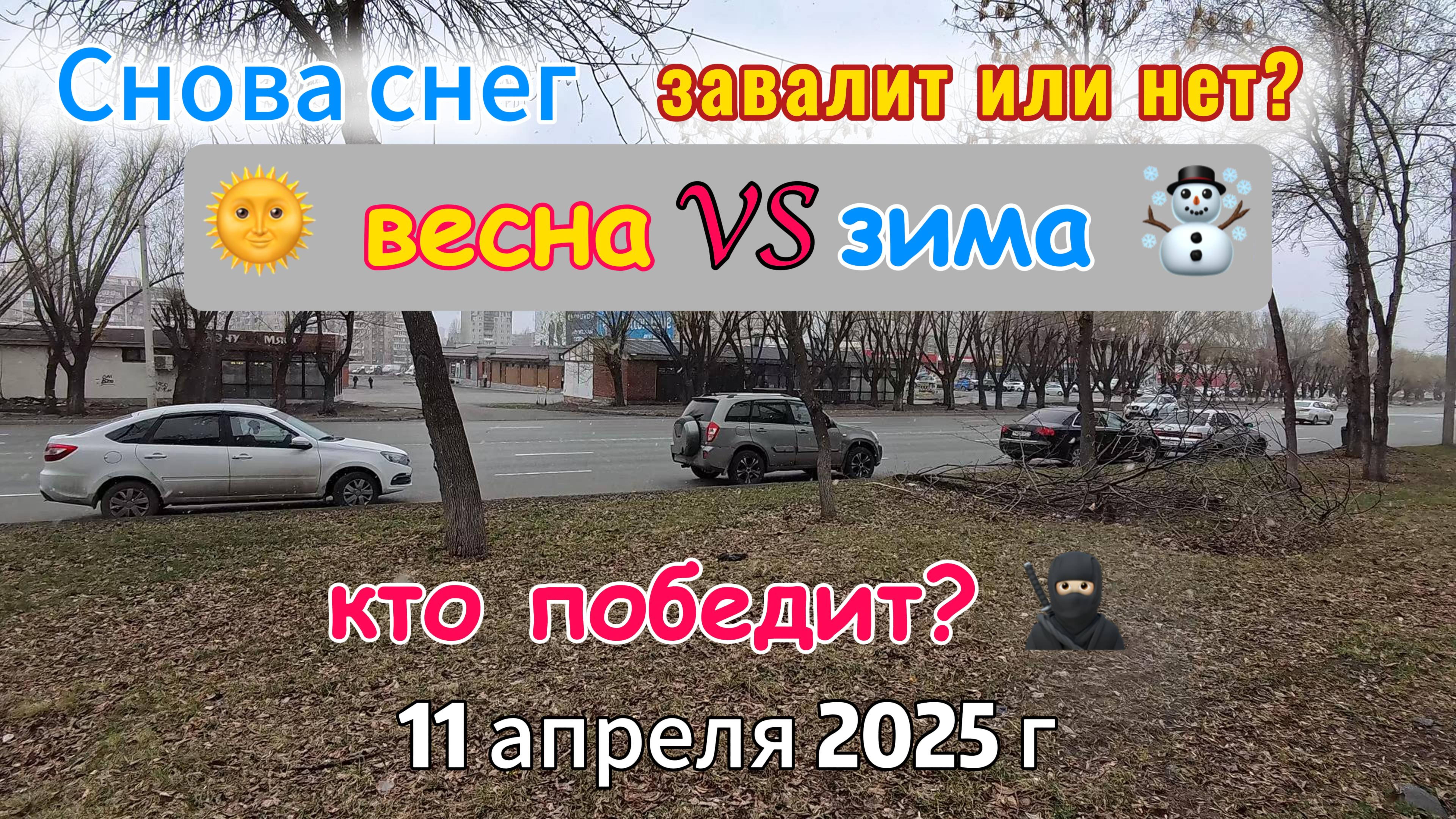 Снег пришел в Челябинск в 12 ч 11 апреля 2025