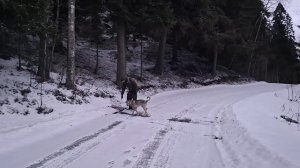 Прекрасное везде.