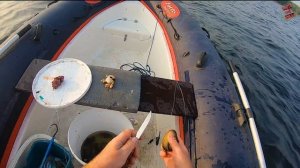 Как поймать сома.