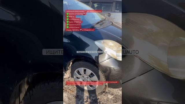 TOYOTA VITZ за 584тр. из Японии☺️ Договор, покупка, честный отчет о расходах смотри в описании