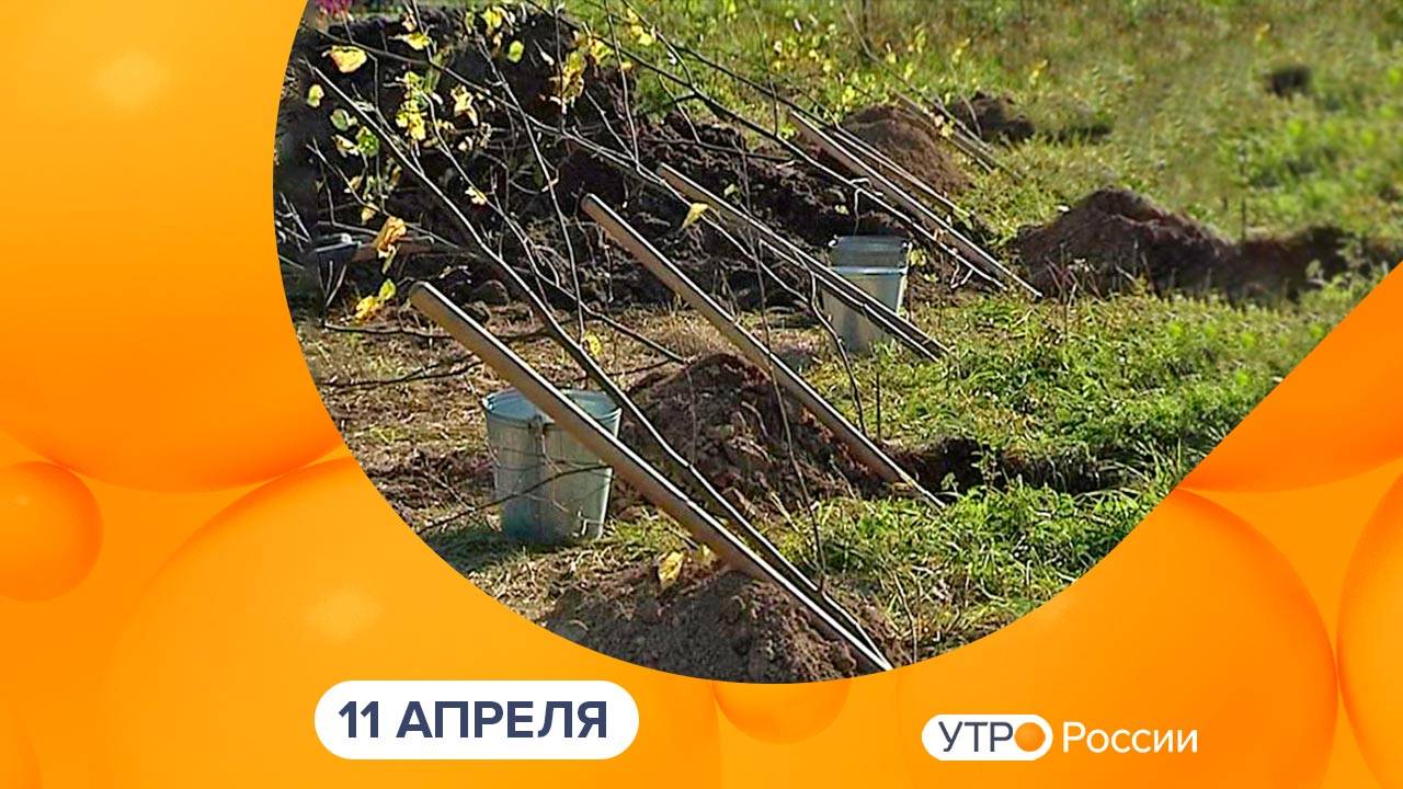 Утро России. Калуга (11.04.2025)