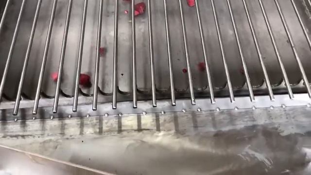 Видео рассева клубники на вибросите струнном из нержвейки Vibromash.com, 8-800-500-40-02-480p смотреть онлайн