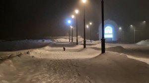 Рождество Христово в Сергиев-Посадской Лавре. Прогулка по городу.