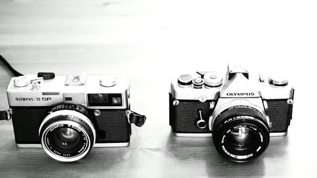 Olympus 35SP vs OM-1 Runners Up Battle | VEDA Day 9