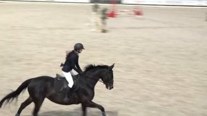 Соревнования по конкуру состоялись в КСК «Звёздный»