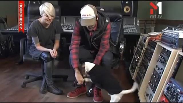 Какой Хозяин, Такая И Собака - ПОПконвеєр - 06.02.2014 смотреть онлайн