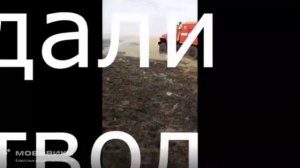 видео 262