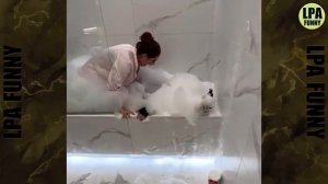 Попробуй не рассмеяться Челлендж 😂😁😆 ▶️ УРОВЕНЬ  Мгновенное сожаление О неудачах Сборники