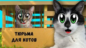 ПОБЕГ ИЗ ТЮРЬМЫ ЧЕЛЛЕНДЖ! КТО ПОСЛЕДНИЙ покинет КАРТОННУЮ ТЮРЬМУ?  | А ну-ка давай-ка