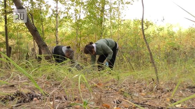 Хлебокомбинат №1 помогает природе стать чище смотреть онлайн