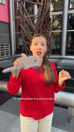 Сотни белух были спасены с помощью классической музыки🐋