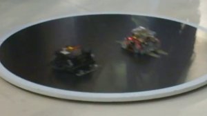 Robo Sumo - RobotChallenge 2010