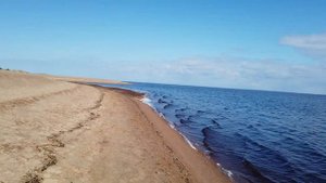 Пляж в Большой Ижоре
