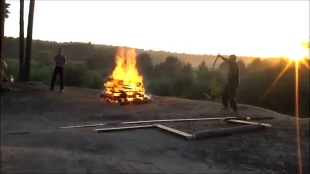 Целебная сила деревьев (часть __51)