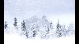 Любовь Волкова "Метель"