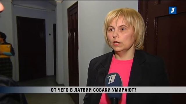 ПБК: В Латвии участились случаи смертельного заболевания собак смотреть онлайн