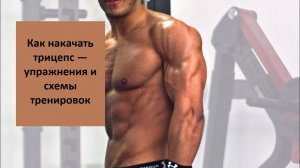 Как накачать трицепс — упражнения и схемы тренировок