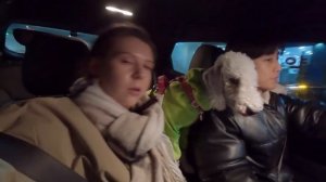 Соскучились по вам, друзья! Делимся новостями, гуляем. Катя и Кюдэ/Южная Корея
