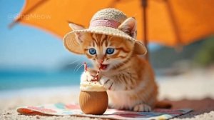 Tiny Ginger Cat's Epic Beach Adventure